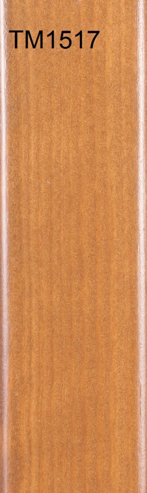 TM1517